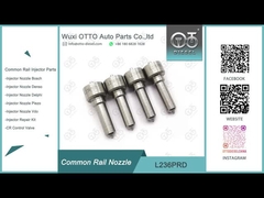 L236PRD 델피 코먼 레일 노즐 펌프 R04201D