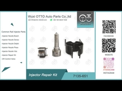노즐 L121PBD와 R02201Z를 위한 7135-651 델포이 분사기 수리용 장비