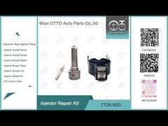 듀즈 밸브 키트 7135 - 650 델피 주사기 수리 키트