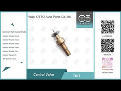 T613 보쉬 커먼 레일 제어 밸브 적용 0445110551