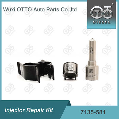 R00101D PSA FORD DW10C에 대한 델피 7135-581 주입기 수리 키트