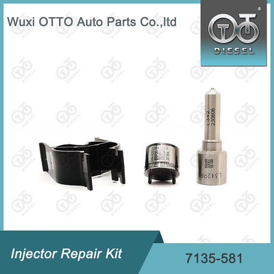 노즐-CVA 키트 7135-581 R00101D PSA / FORD DW10C 노즐 밸브 키트용 델피 주입기 수리 키트