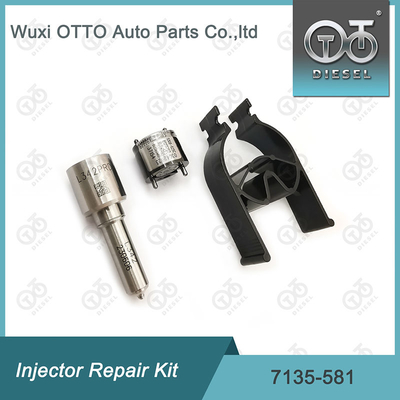 노즐-CVA 키트 7135-581 R00101D PSA / FORD DW10C 노즐 밸브 키트용 델피 주입기 수리 키트