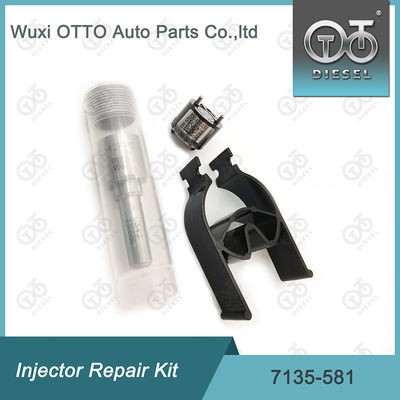 R00101D PSA FORD DW10C에 대한 델피 7135-581 주입기 수리 키트