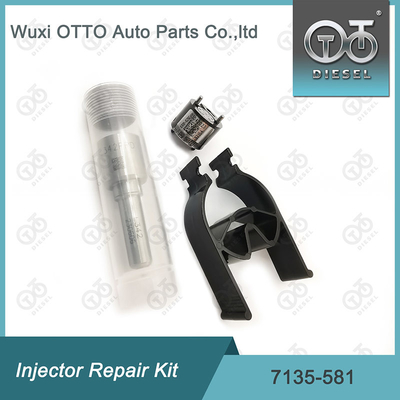 노즐-CVA 키트 7135-581 R00101D PSA / FORD DW10C 노즐 밸브 키트용 델피 주입기 수리 키트