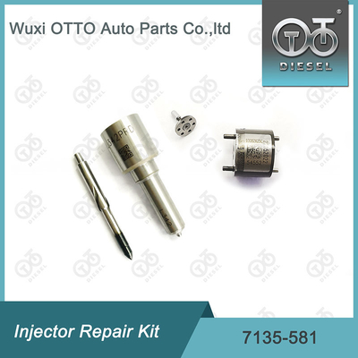 노즐-CVA 키트 7135-581 R00101D PSA / FORD DW10C 노즐 밸브 키트용 델피 주입기 수리 키트