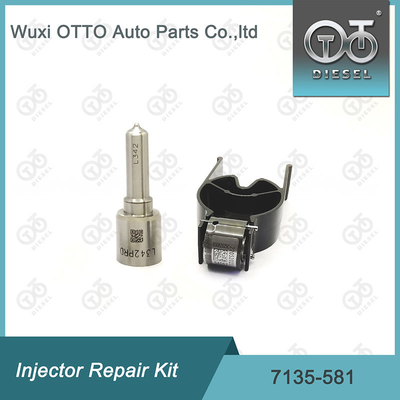 노즐-CVA 키트 7135-581 R00101D PSA / FORD DW10C 노즐 밸브 키트용 델피 주입기 수리 키트