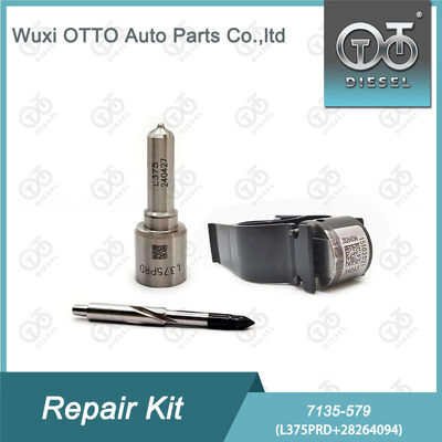 7135-579 델파이 인젝터 수리 키트 (L375PRD 노즐 및 28264094 제어 밸브 포함, 디젤 엔진용)